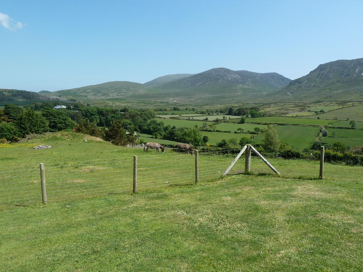 Gorse Hill Glamping Otel Newcastle  Dış mekan fotoğraf